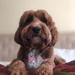 Meet your Posher, Patrizia